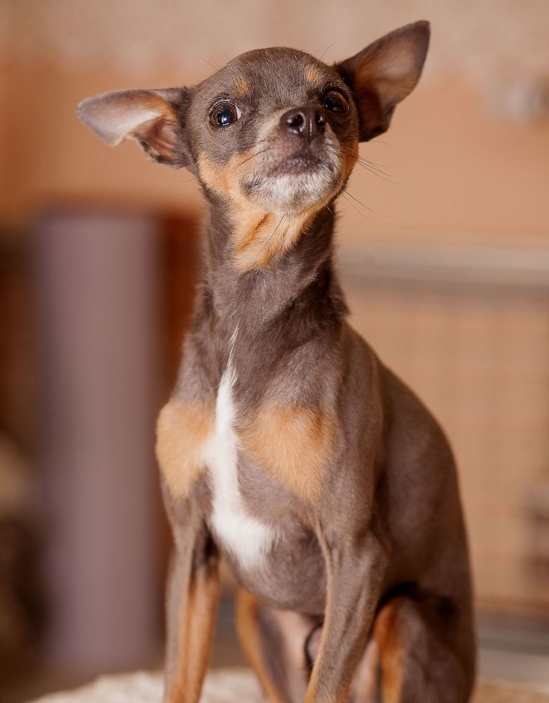 Фотография автора Alena Makushina