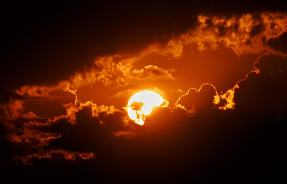 Photograph by Tinatin Gviniashvili-Chkhikvishvili