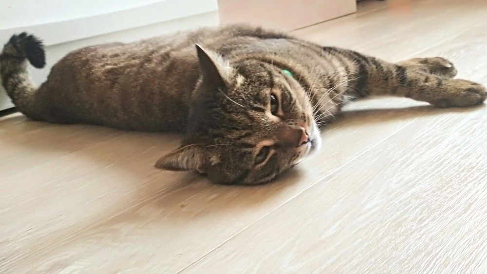 Photograph by Ольга Васильева