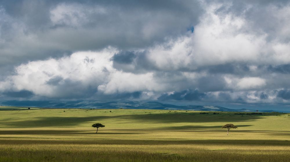 Photograph by Дмитрий Николаев