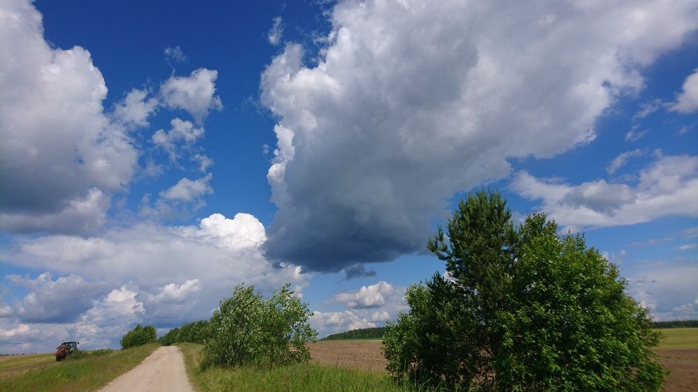 Дорога в облака.