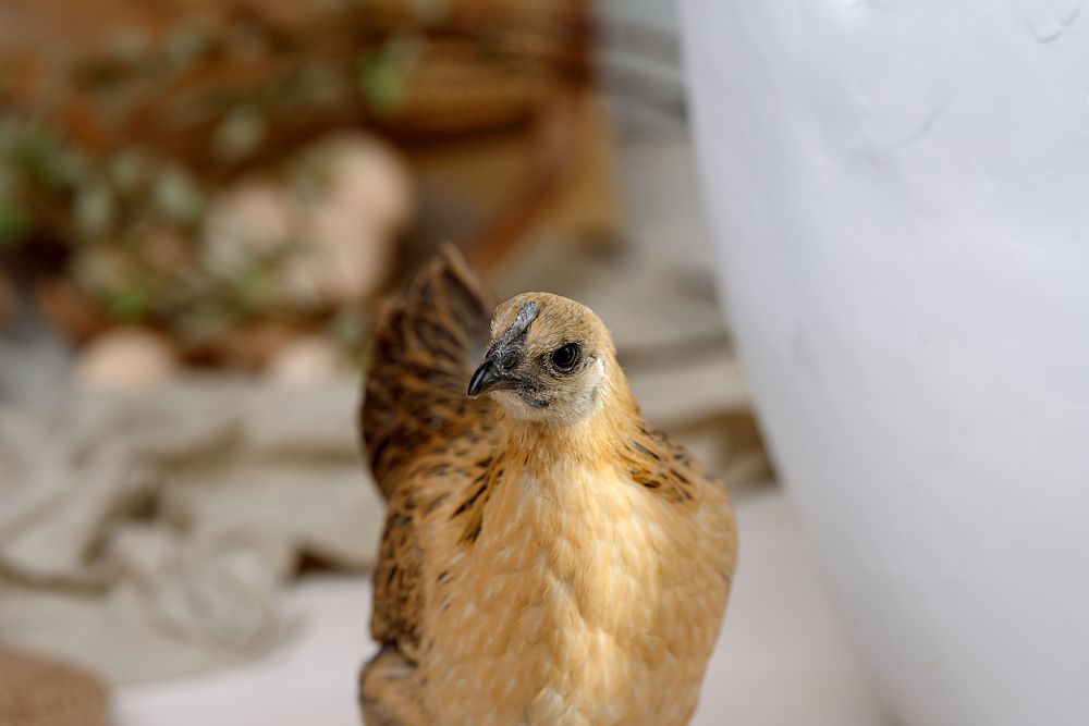 Photograph by Анна Грин