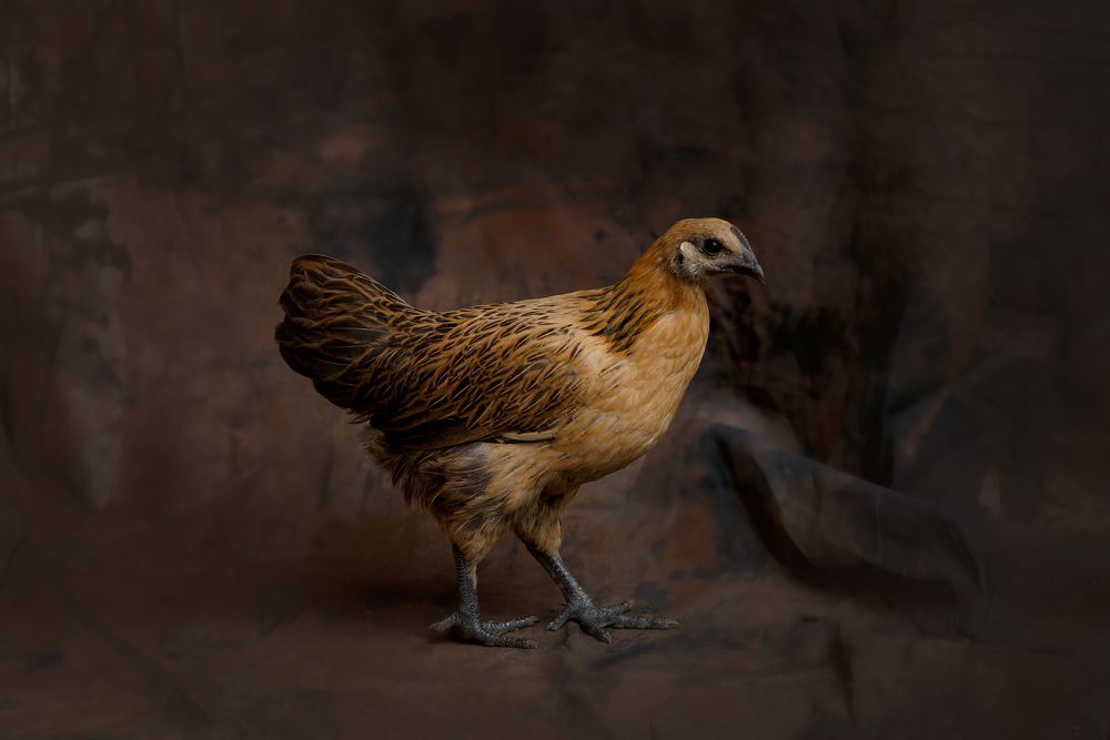 Photograph by Анна Грин