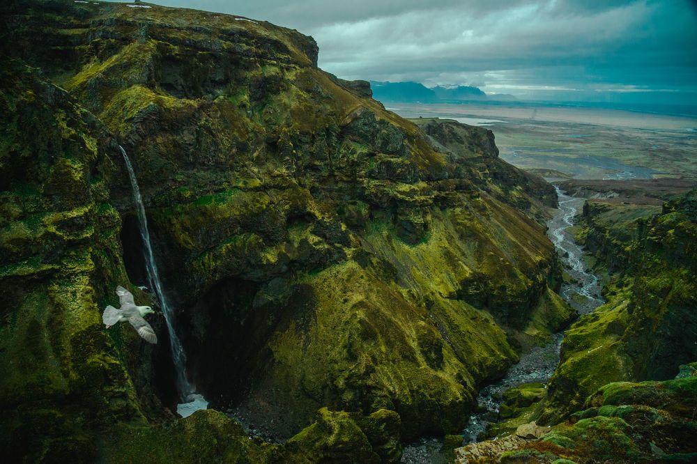 Photograph by David Mrlian