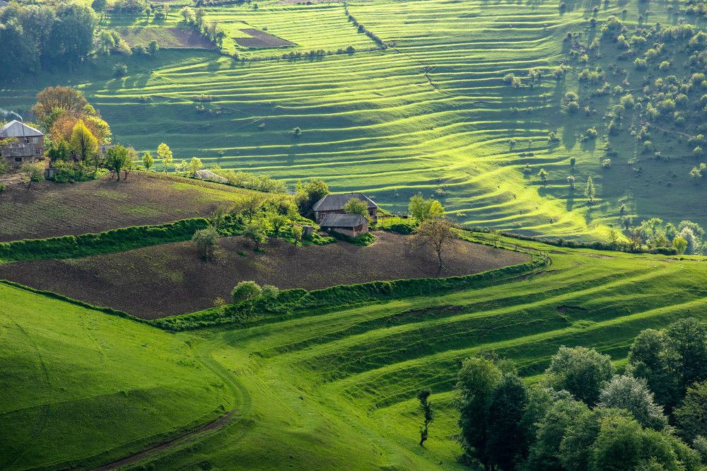 Photograph by İlham Mustafayev