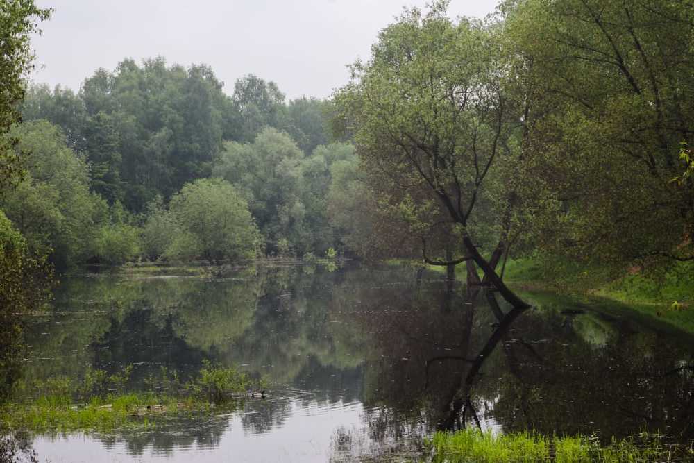 Утренняя тишина