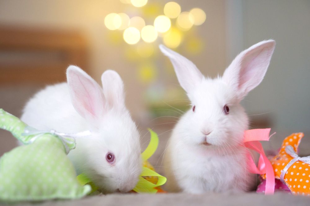 Photograph by Анна Гриневич