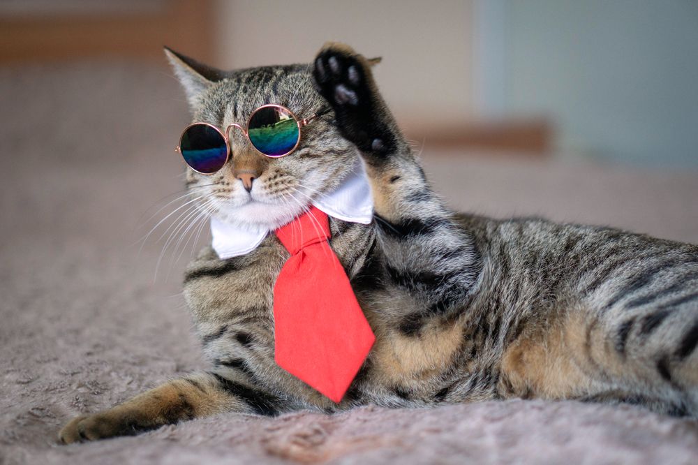 Photograph by Анна Гриневич