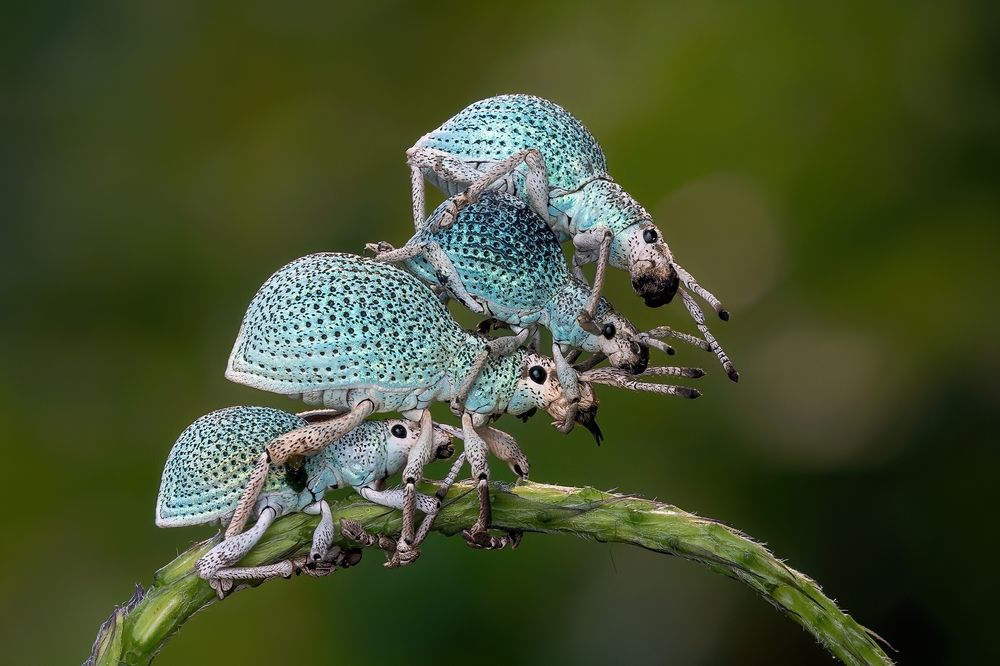 Photograph by Marcus Kam