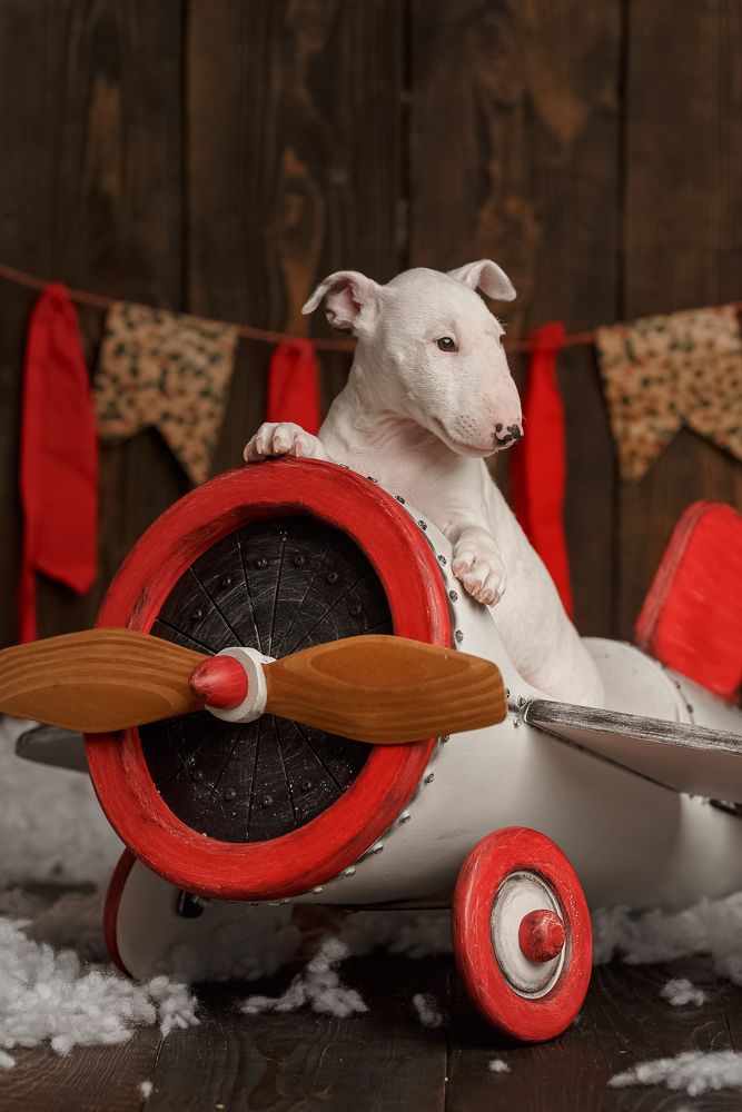 Photograph by Анна Грин