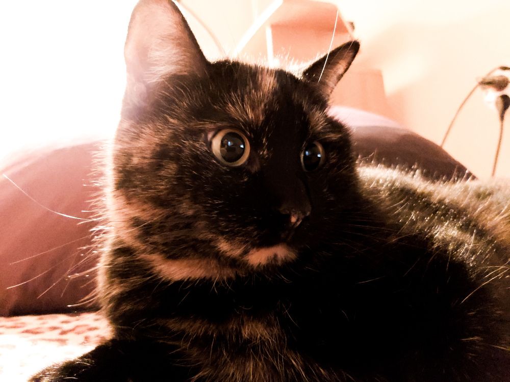 Photograph by Кристина Вингре