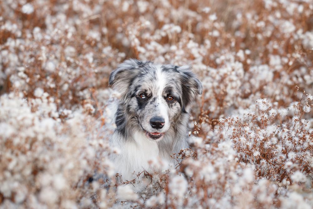 Photograph by Анна Грин