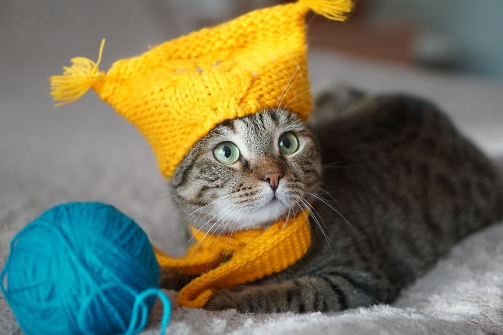 Photograph by Анна Гриневич