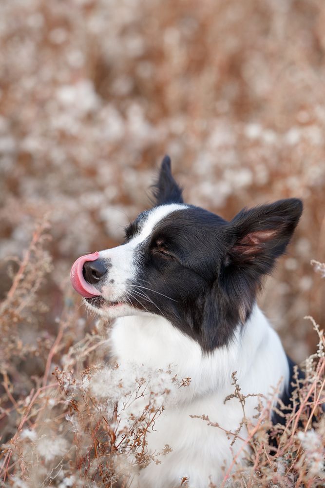 Photograph by Анна Грин