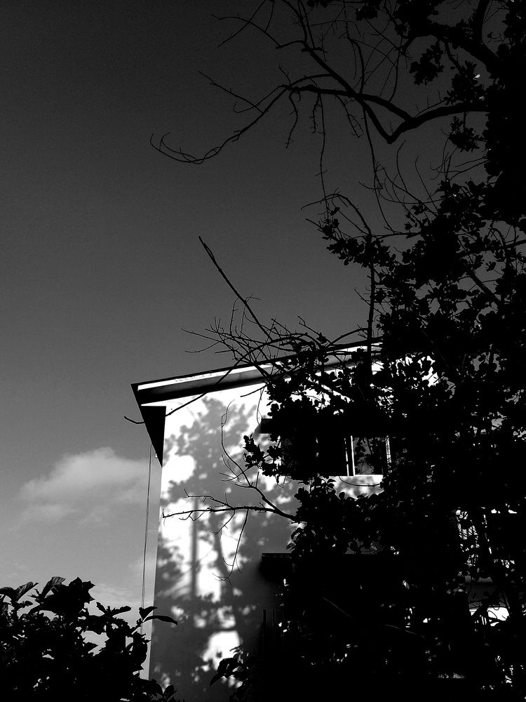 Photograph by Brian C. Guillen