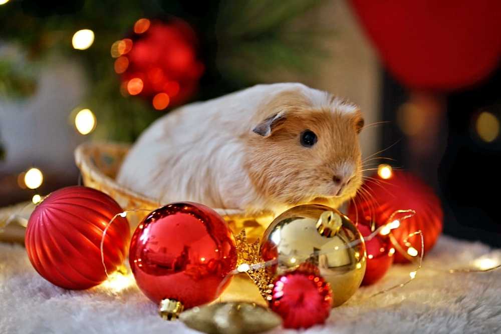 Photograph by Лиля