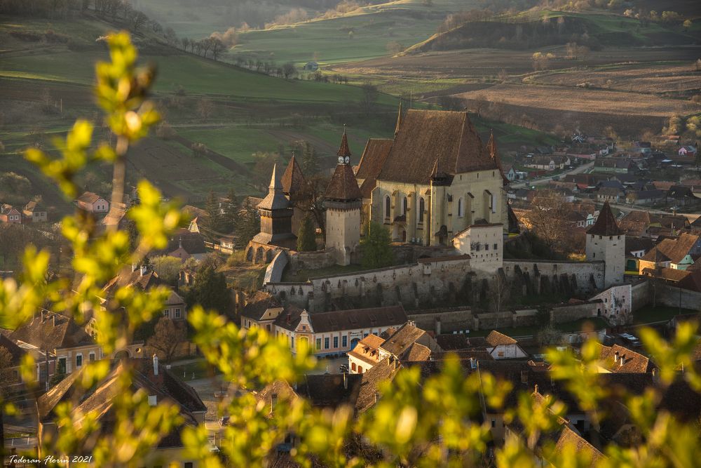 Photograph by Todoran Florin