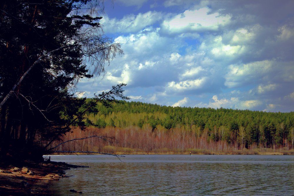 Photograph by эдуард петруша