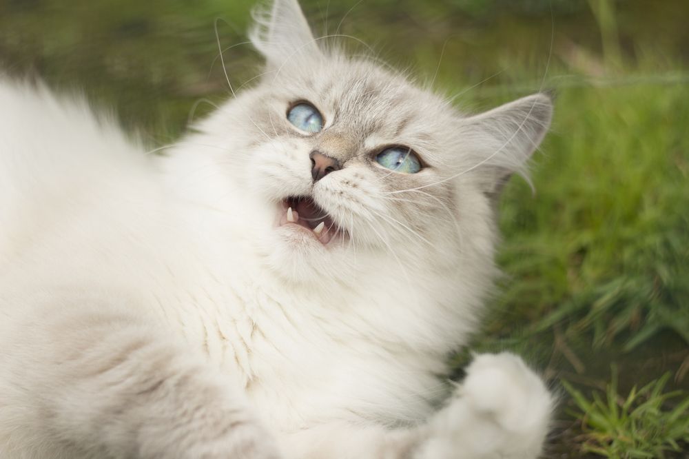 Photograph by Янина Малиновская