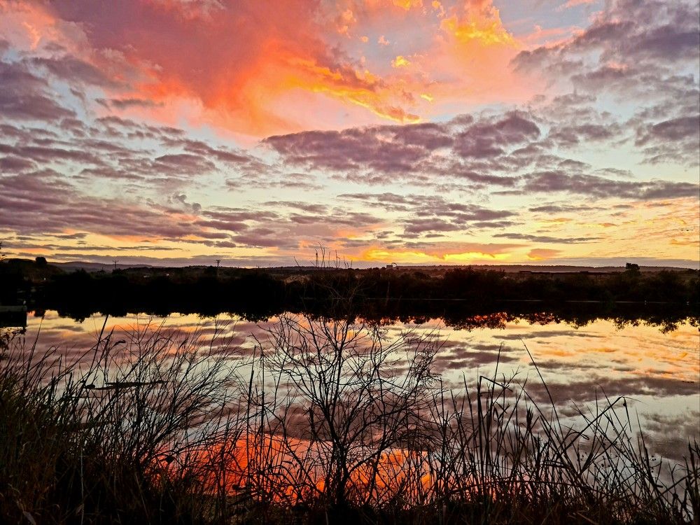 Photograph by יעל מנור