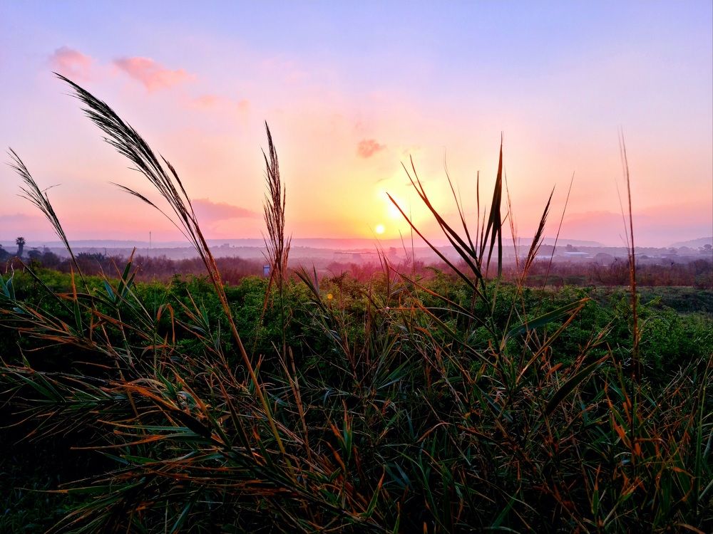 Photograph by יעל מנור