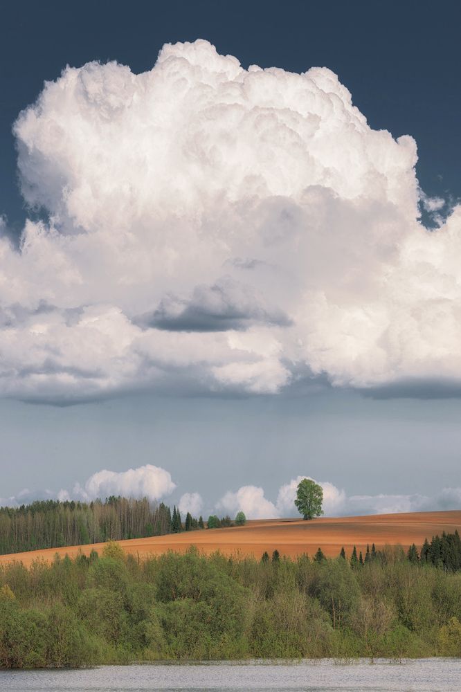 Фотография автора Дмитрий Медянцев