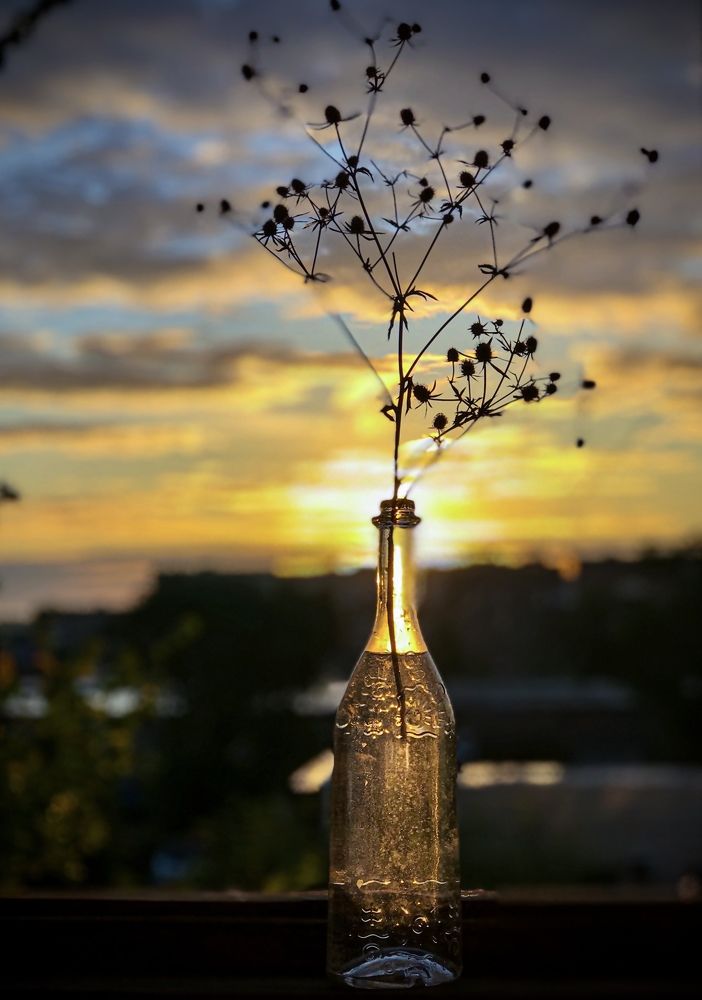 Сквозь облака