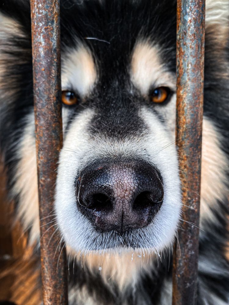 Photograph by Наталья Перерва