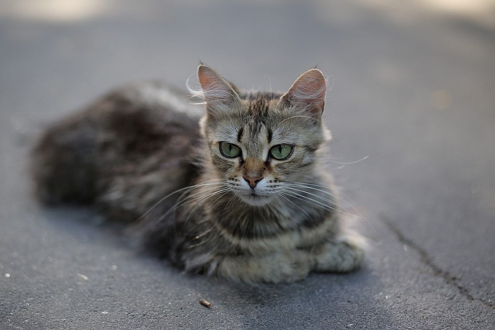 Photograph by Надежда Баркова