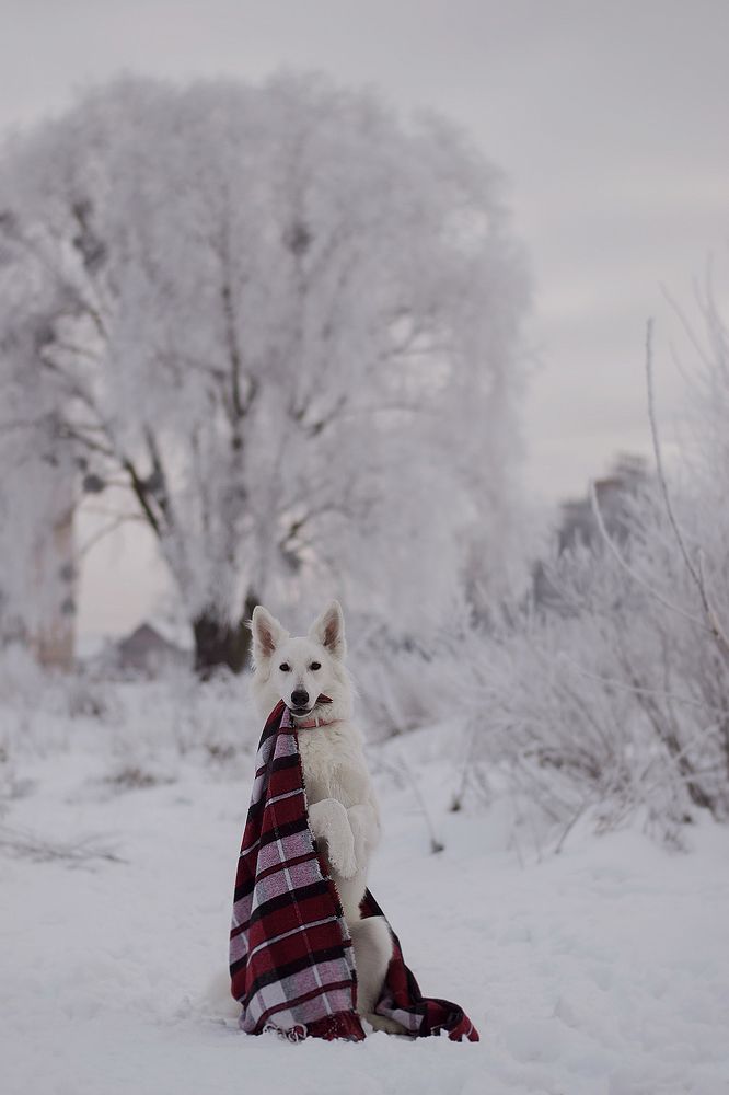 Photograph by Leksa Mayer