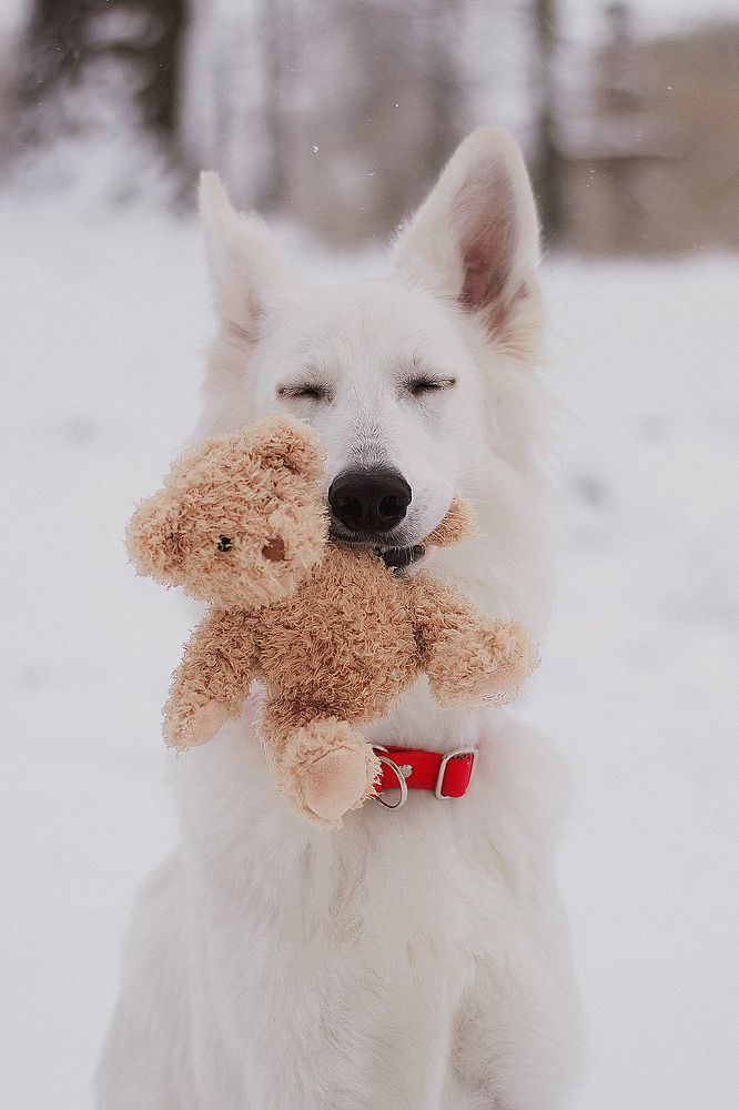 Photograph by Leksa Mayer