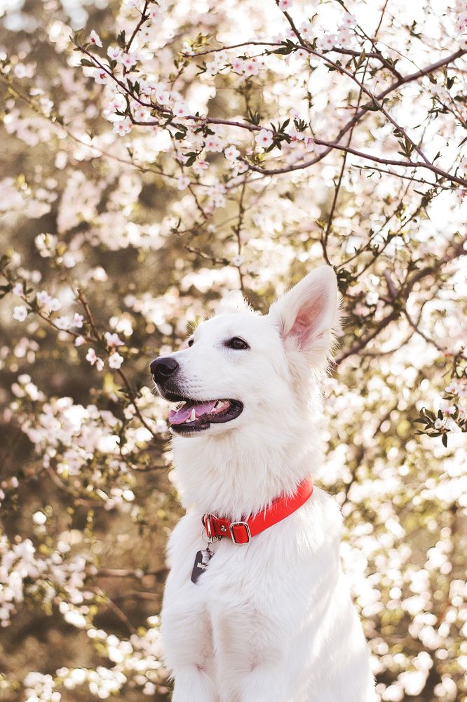 Photograph by Leksa Mayer