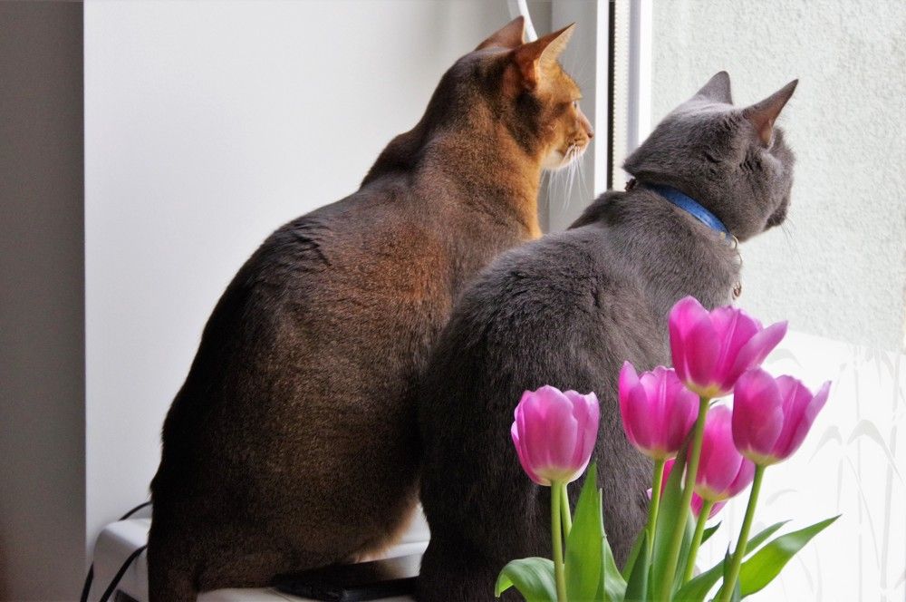 Photograph by Andrei Baburin