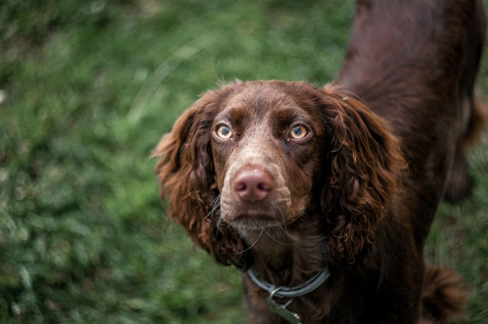 Photograph by Динара Зуйкова