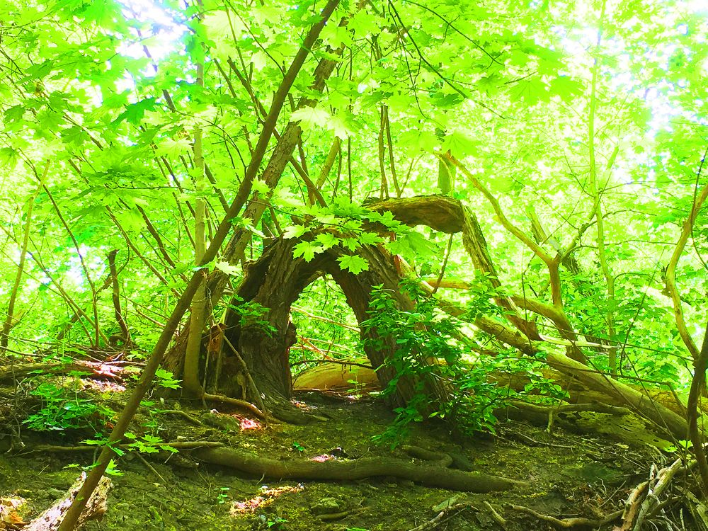 Photograph by Владимир Молостов