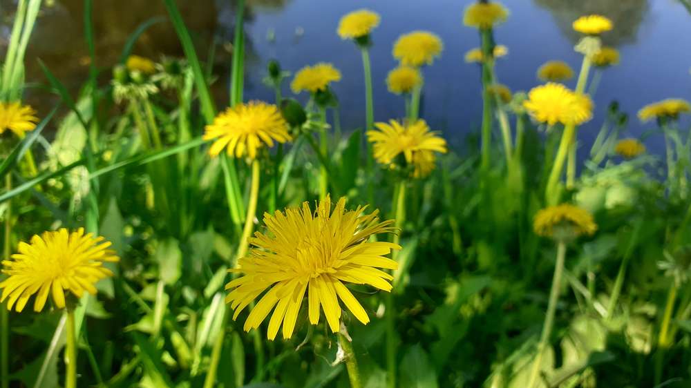 Photograph by Елена Лещева