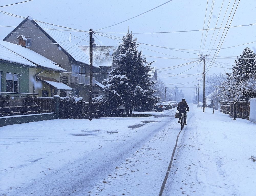 Фотография автора Kreculj Dejan