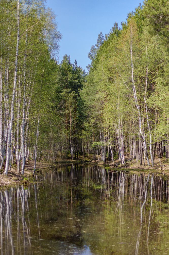 Photograph by Виталий Са