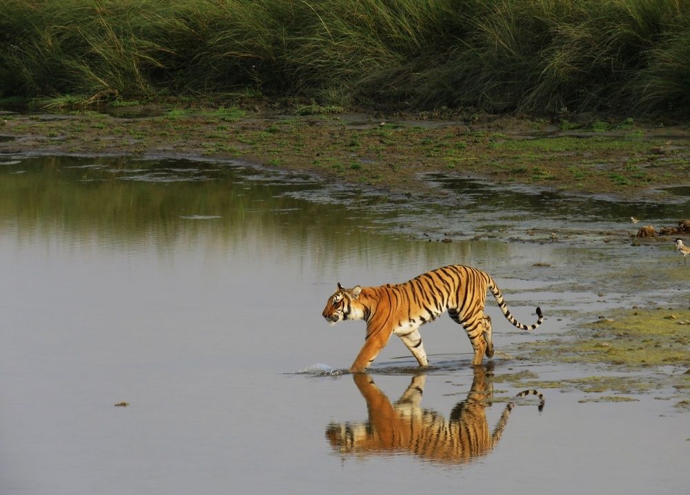 Photograph by Rashi Chakrayat