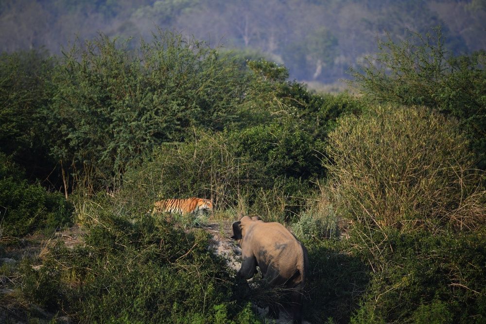 The encounter!