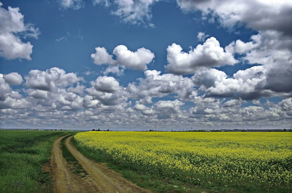 Photograph by Анатолий Святой