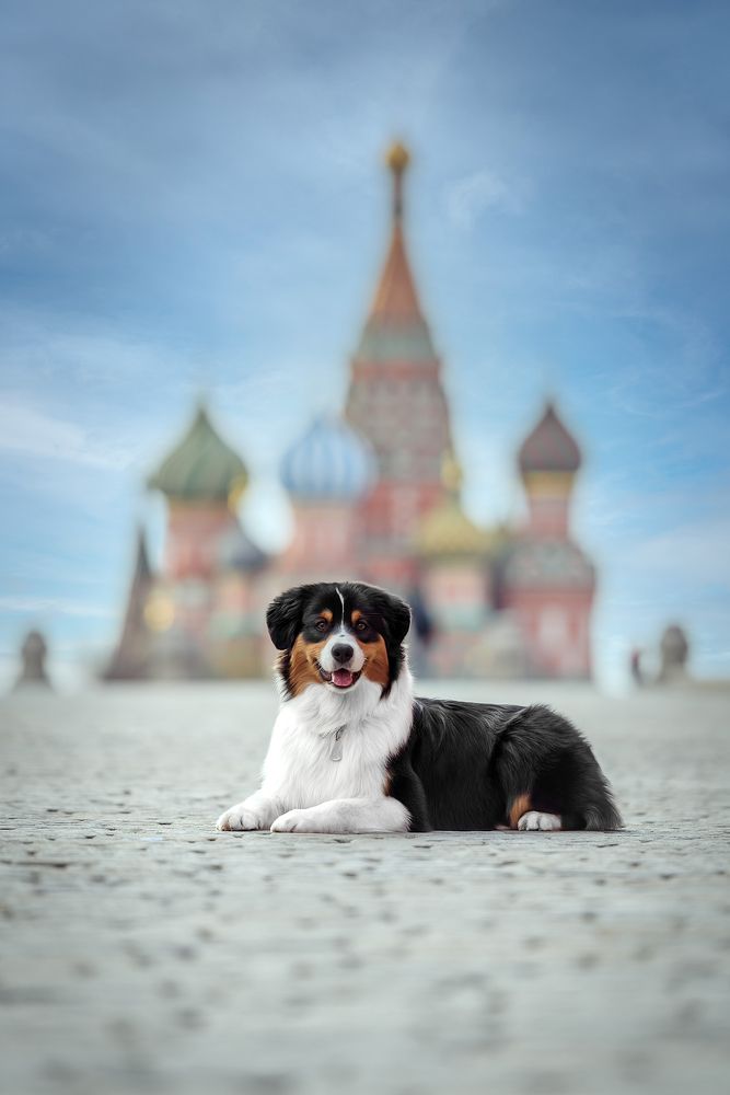 Photograph by Irina Kovaleva