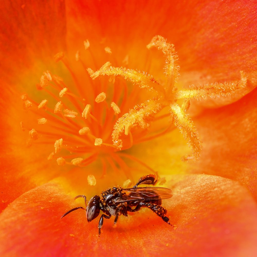 Photograph by James David Raj