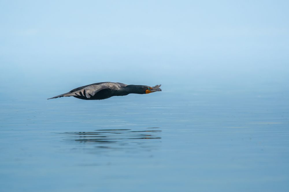 Photograph by James David Raj