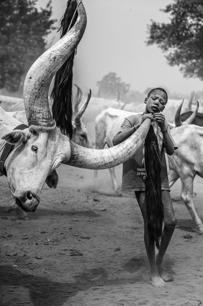 Photograph by Trevor Cole