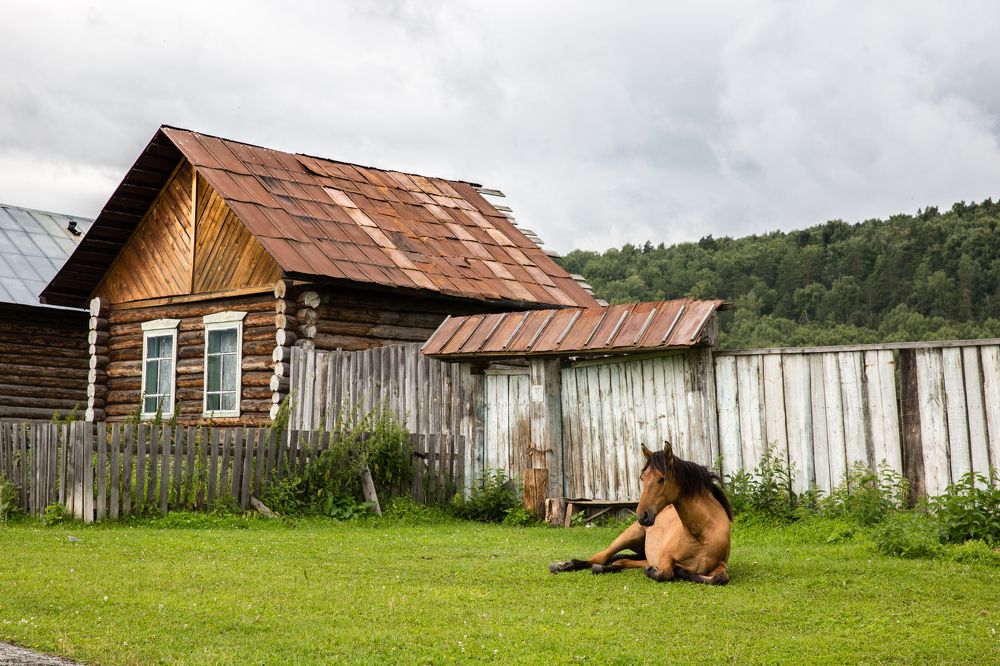 Photograph by Фирдаус Карипова