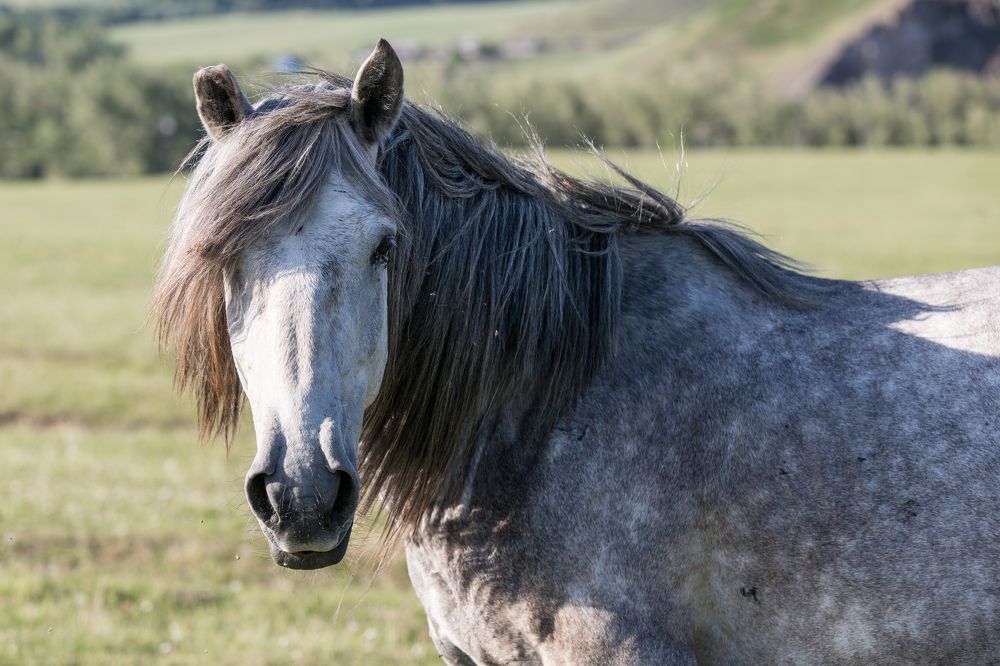 Photograph by Фирдаус Карипова