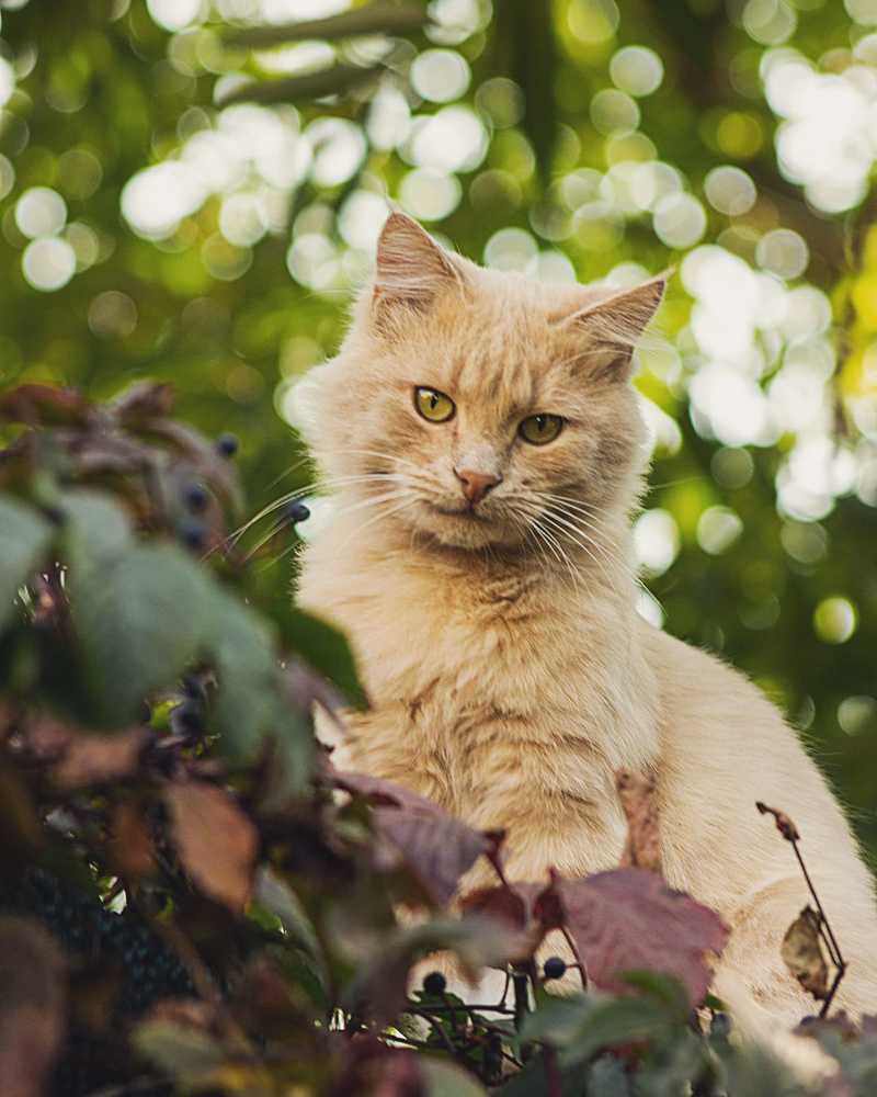 Photograph by Екатерина Топалова