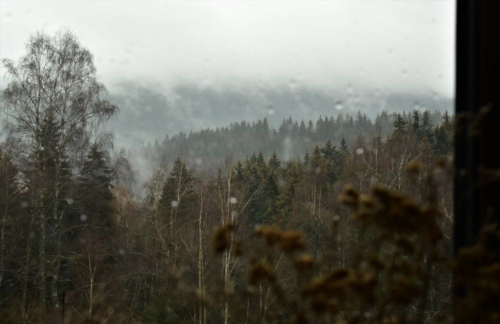 Photograph by Atanas Rakov