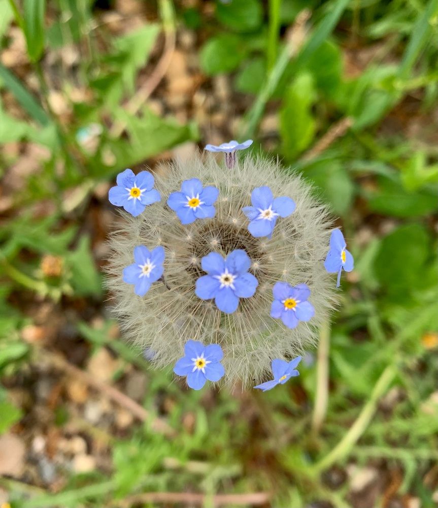 Photograph by Светлана Хохлова